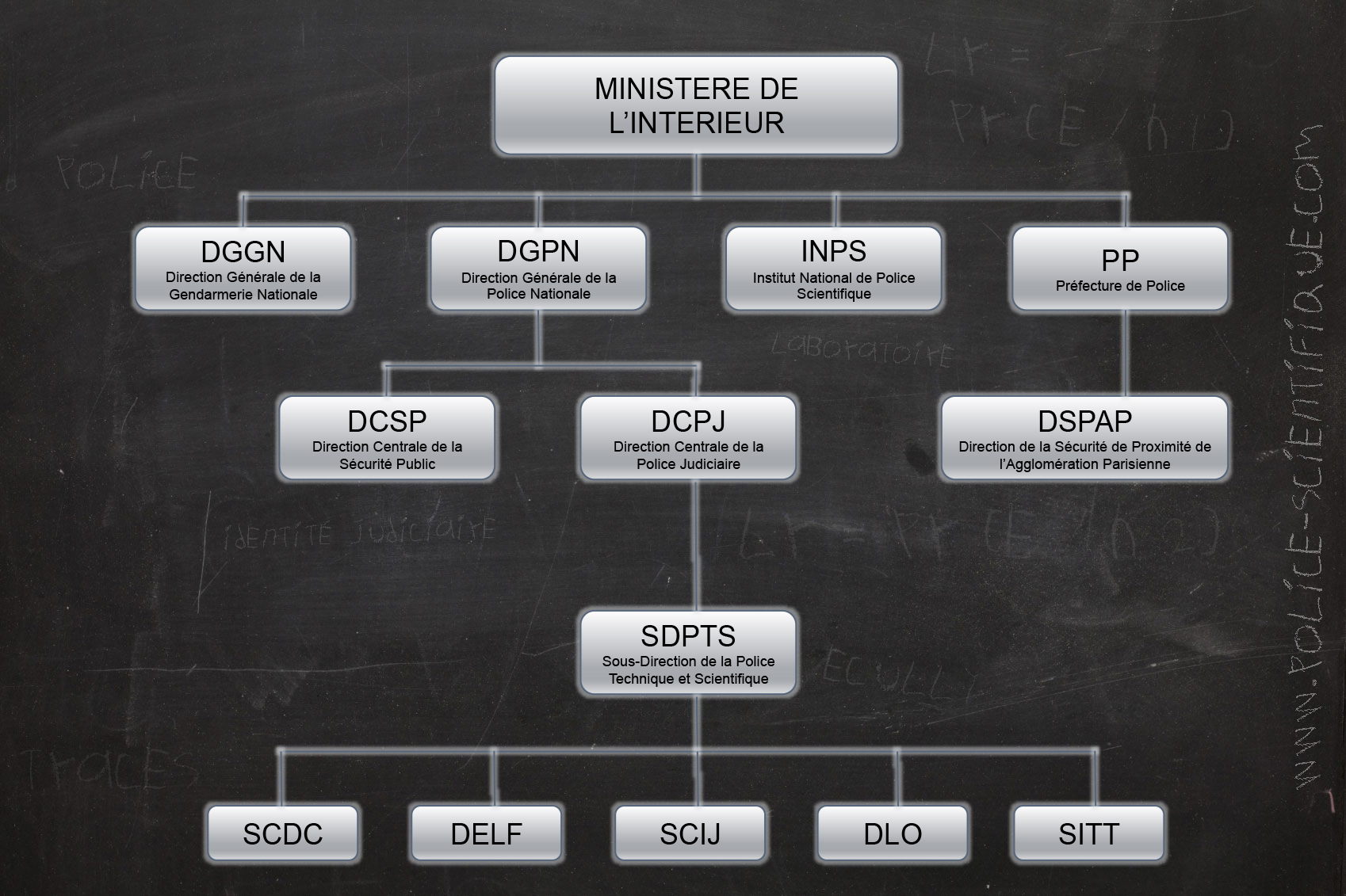 Organisation des services de Police Technique et Scientifique
