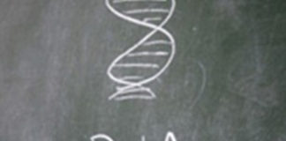 ADN – Identification