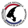 Organisation PTS - Logo DCPJ
