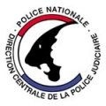 Organisation PTS - Logo DCPJ