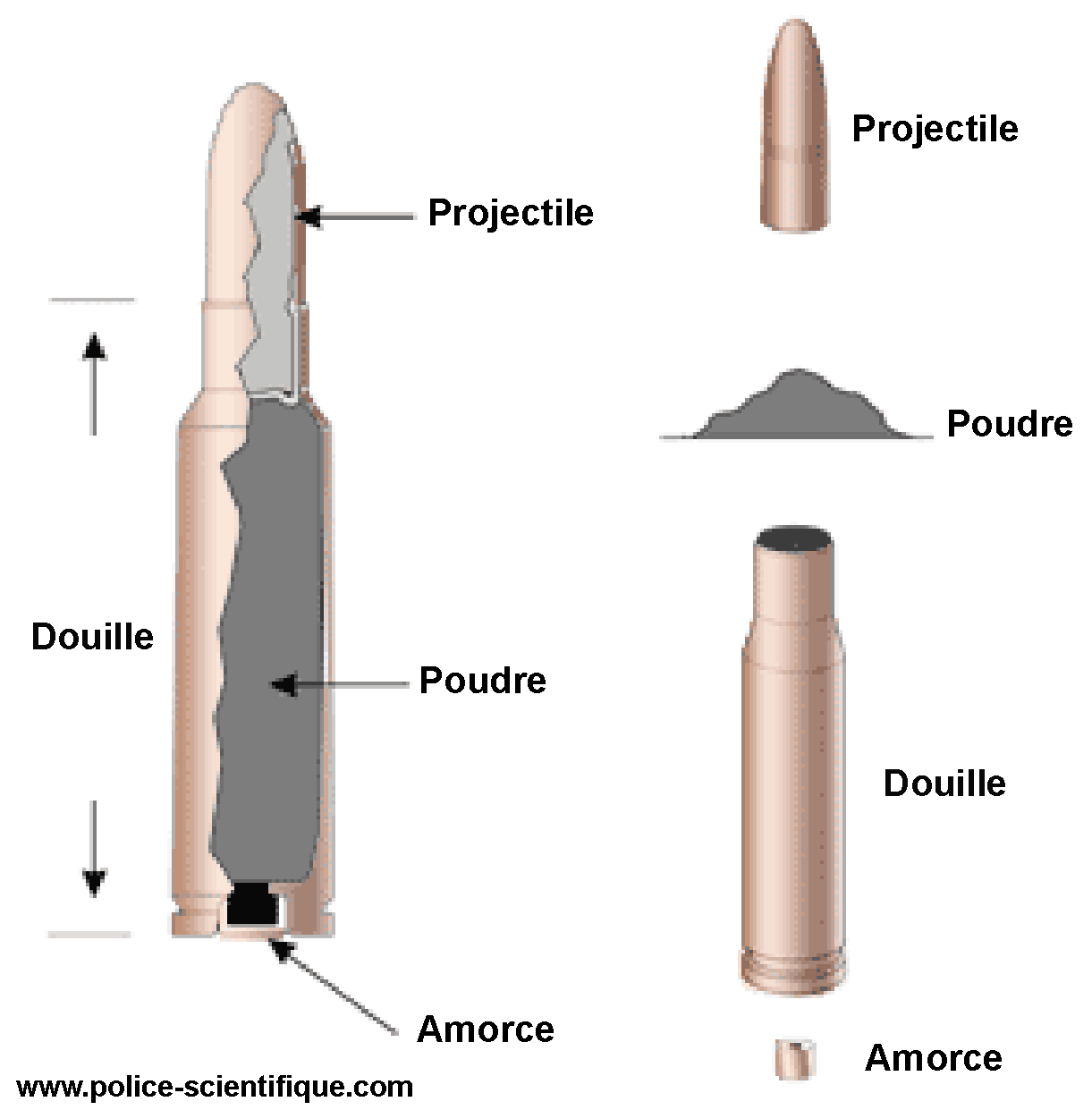 Munitions police scientifique 