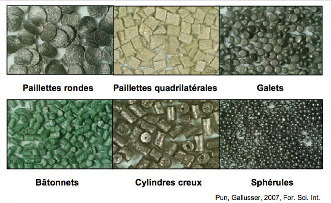 Morphologie des grains de poudre