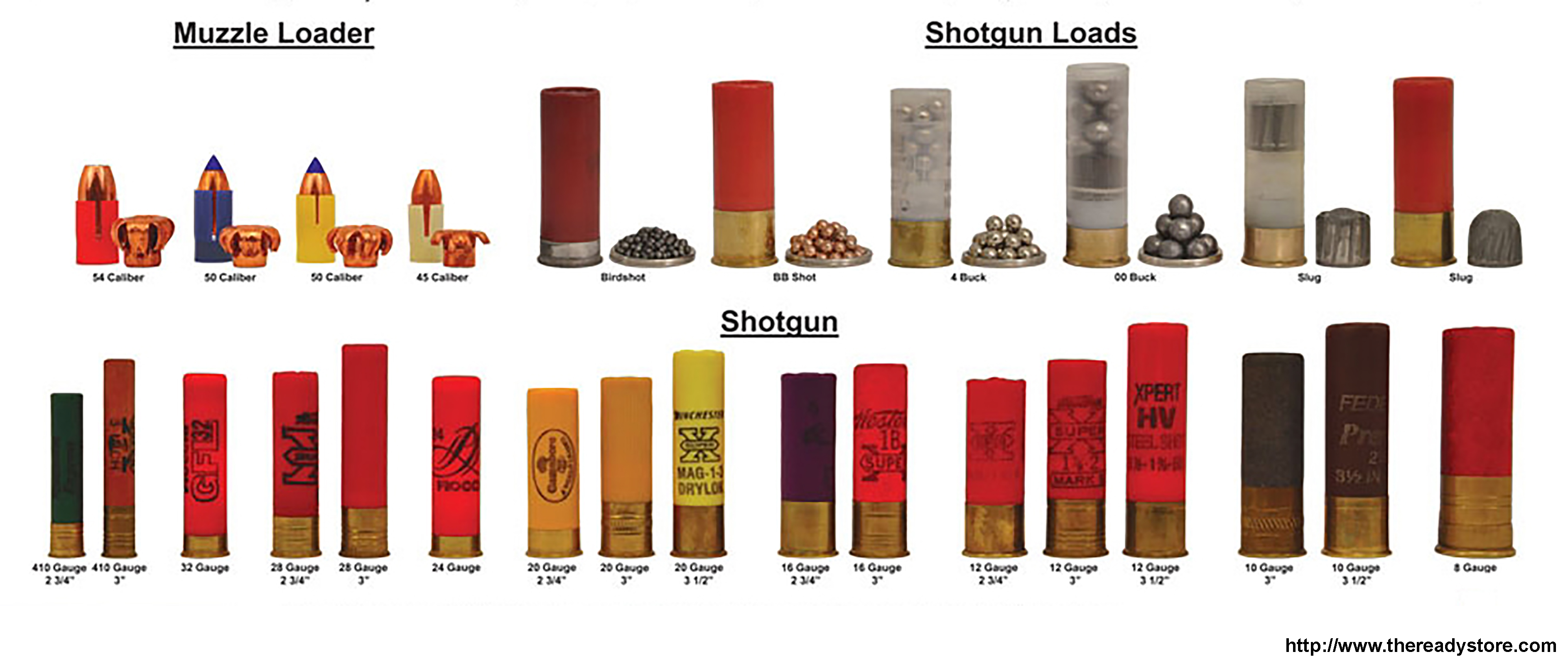 Exemple des différentes cartouches pour armes lisses