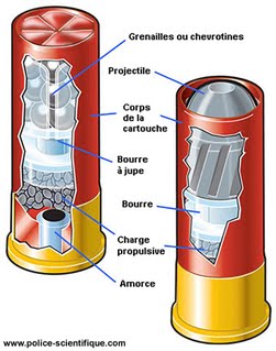 composition armes à feu cartouche de chasse police scientifique 