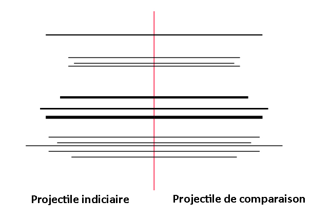 stries projectile comparaison traces armes à feu 