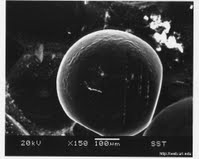 Résidus de tir microscope armes à feu