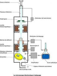 fonctionnement microscope électronique balayage résidus de tir 