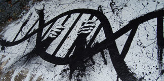 ADN – FNAEG ADN FNAEG Prison