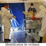 Identification-des-victimes - Police Scientifique - Organisation