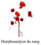 morphoanalyse du sang