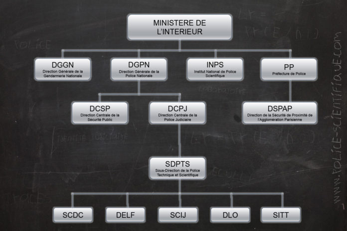 organigramme police scientifique