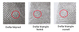 dessins digitaux empreintes police scientifique