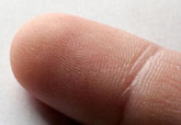 empreinte digitale doigt traces papillaires