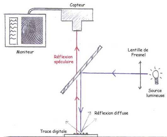 episcopie coaxiale trace digitale