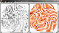 comparaison identification trace digitale police scientifique 