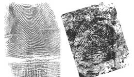 Les raisons de cette erreur d’identification