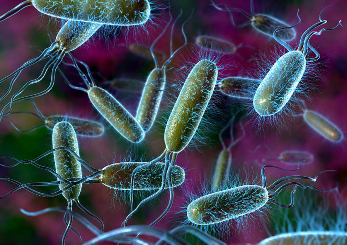 microbes bactérie cadavre datation médecine légale