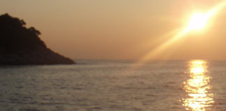 Photographie – Exposition