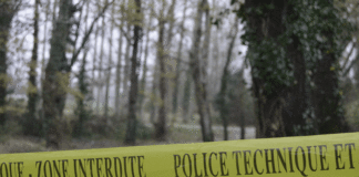 Photographie – Profondeur de champ et mise au point