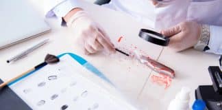 Quelle école pour faire police scientifique ?