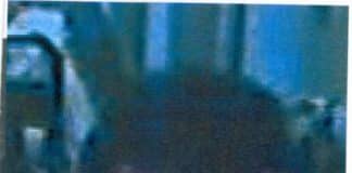 Interview de la psycho-criminologue Emma Oliveira (3/3) : l’affaire Dupont de Ligonnes