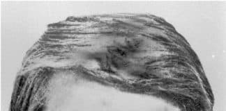 Des exemples pratiques de portraits-robots (3/3)