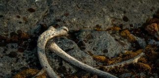 Le lien entre les deux affaires de disparition (3/3)